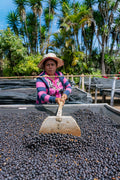 Clearance: El Salvador Anaerobic Natural